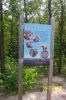 Filename=2008-Scenic Caves and Wasaga Beach (16).JPG
Filesize=1388KB
Dimensions=1632x2448
Date added=Sep 24, 2011 2008-Scenic Caves and Wasaga Beach (16).JPG